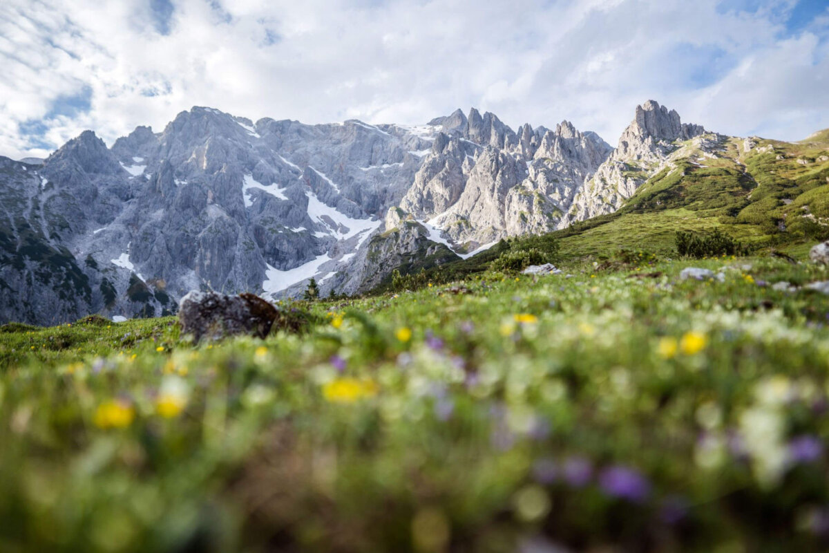 Hochkönig - Maria Alm