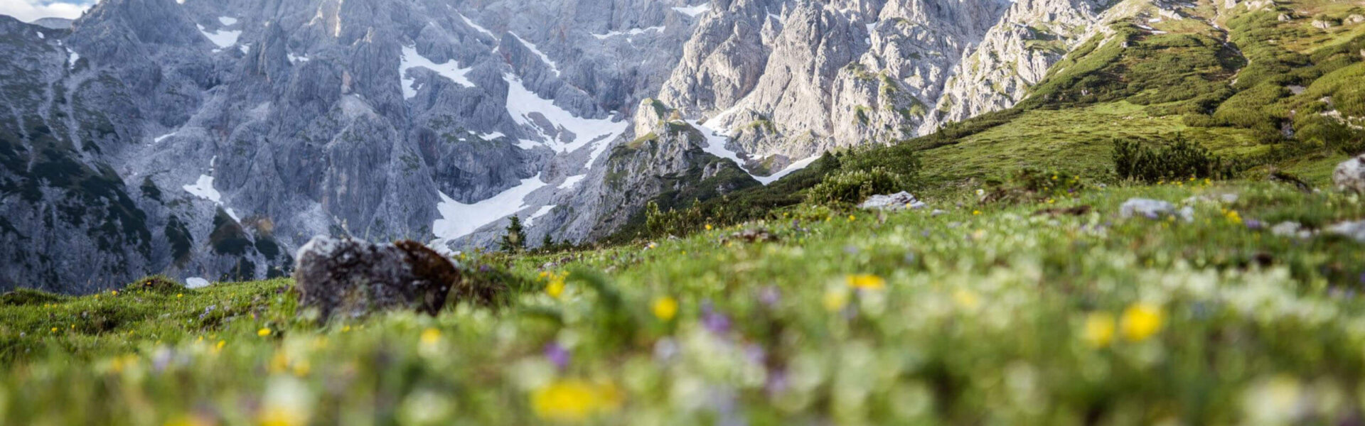 Hochkönig - Maria Alm
